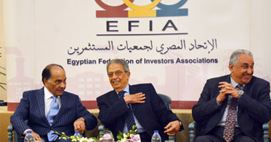 عمرو موسى لـ"المستثمرين": الدستور أكد على حماية الملكية