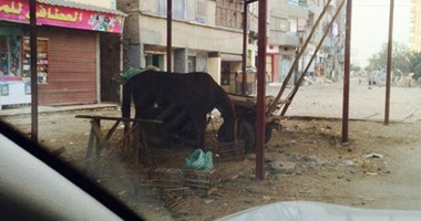 غضب أهالى مركز "نبروه" بالدقهلية لتحويل شارع "ترعة نشا"لمقلب للقمامة