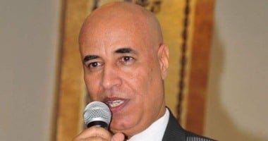 اتحاد المصريين بالخارج: 52 حافلة لنقل أبناء الجالية بالسعودية لمقرات الانتخابات