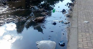 صحافة مواطن: بالصور..غرق شارع ابن عقيل بمياه الصرف فى المنتزه بالإسكندرية