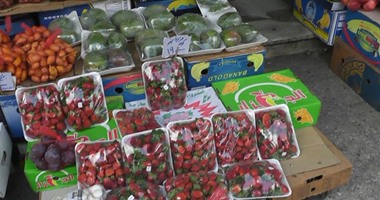 موجز أخبار الاقتصاد المصرى اليوم الأحد 8-5-2016