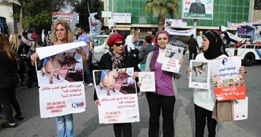 طنطا يرفض "سم القطط" خوفا من تكرار سيناريو الأهلى