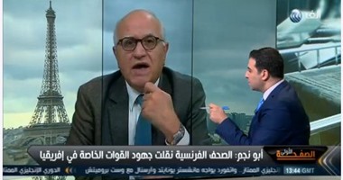 ميشال أبونجم: باريس ترى أنها تحارب الإرهاب وحدها.. هجوم مالى يضرب مصالح فرنسا
