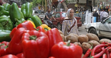 محمود حمدون يكتب: العدالة الاجتماعية والمنافسة الكاملة