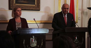 وزير الخارجية يدعو دول العالم بالتعامل بنهج واحد مع كل التنظيمات الإرهابية