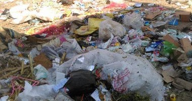 صحافة المواطن: بالصور.. شوارع قرية بيبا فى البحيرة تتحول لمقالب قمامة