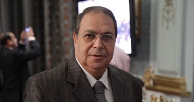 عضو تشريعية البرلمان: خفض الجمارك على السيارات الأوروبية ينعش الاقتصاد المصرى