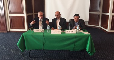 نور فرحات: البرلمان المقبل سيعدل الدستور