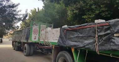 مصرع طفلين غرقا فى ‏سقوط سيارة نقل من أعلى معدية بالمنيا