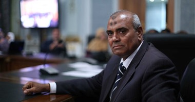  النائب برديس سيف: لجنة الأمن القومى توصى بانشاء قسم للجوازات بالداخلة