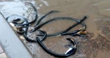 صحافة المواطن.. أسلاك الكهرباء غارقة فى مياه الأمطار بالإسكندرية