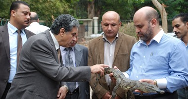"البيئة" تجرى مسحا لمصرف البشلاوى بالجيزة بعد العثور على تمساح