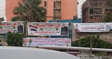 بالصور.. الدعاية الانتخابية تغزو شوارع القليوبية