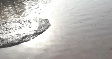 بالصور.. غرق البوابة الثالثة بحدائق الأهرام نتيجة تساقط الأمطار