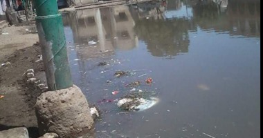 "صحافة المواطن".. غرق قرية جزاية بالجيزة بمياه الصرف الصحى
