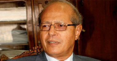 مساعد وزير الخارجية الأسبق : مصر أكبر دولة صناعية فى الكوميسا 