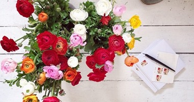 بالصور..4 أنواع من الزهور يمكنك الاستمتاع بها فى الشتاء