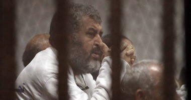 أحكام بالسجن المؤبد للمتهمين فى "خلية أبناء الشاطر"