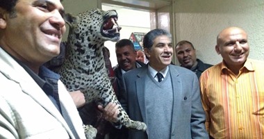 خبراء الحياة البرية يسلمون وزير البيئة النمر الجبلى بحلايب بعد تحنيطه