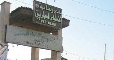 الأطباء البيطريون يصوتون اليوم لانتخاب النقيب العام من بين 14 مرشحا.. 57 بيطريا يتنافسون على مقاعد النقابة العامة و288 بالمحافظات.. 55 مستشارا يشرفون على التصويت.. و"الكمامة" شرط دخول اللجان1