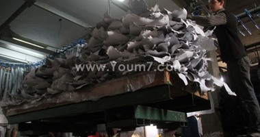 غرفة دباغة الجلود: 2 مليار جنيه قيمة تعويضات أصحاب مدابغ عين الصيرة