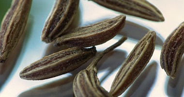 الطب البديل عالج القلب والجهاز الهضمى والرضاعة الطبيعية باستخدام الكراوية