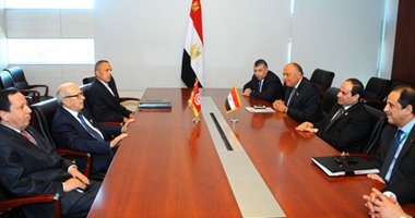 لقاءات مكثفة للرئيس مع زعماء أفريقيا قبل عودته للقاهرة اليوم