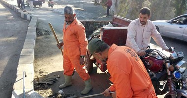 حملة مكبرة بمركز طلخا لإزالة المخلفات الصلبة من الطريق العام