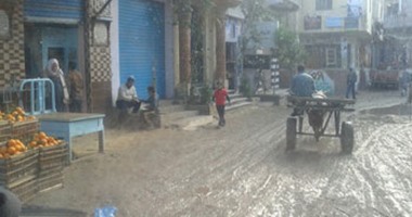 صحافة المواطن.. بالصور: شوارع قرية محلة الأمير بالبحيرة تغرق بمياه الصرف الصحى