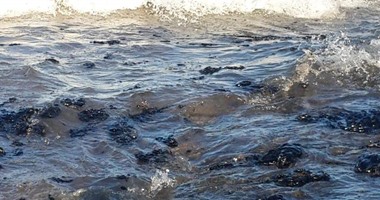 إزالة الآثار الناتجة عن التلوث البترولى شمال الغردقة بعد إصلاح الخط