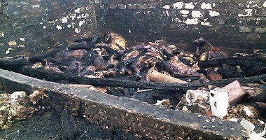 السيطرة على حريق بحظيرة ماشية فى المنوفية