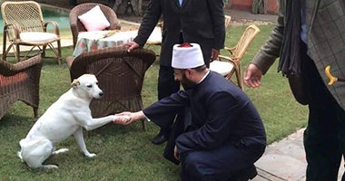 أسامة الأزهرى ردا على منتقديه لمصافحة "كلب": سامحت الجميع