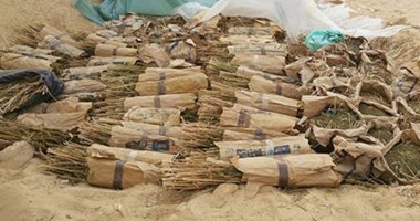 القبض على 3 عاطلين لاتهامهم بالاتجار فى المواد المخدرة بمنطقة التبين