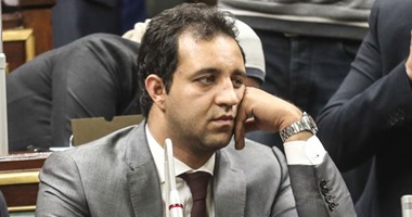 "النقض" تنتهى من نظر طعن الشوبكى على "فوز أحمد مرتضى منصور بمقعد الدقى"