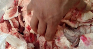 طب بيطرى الجيزة: "كل المصريين أكلوا لحم حمير ولحوم فاسدة بنسبة 100%"