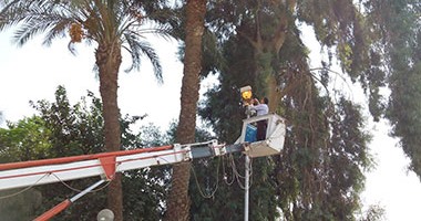 قارئ يطالب بتوفير أعمدة إنارة فى طريق كفر أباظة