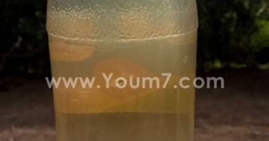 صحافة المواطن.. قارئ يشكو من تلوث مياه الشرب فى الباجور بالمنوفية