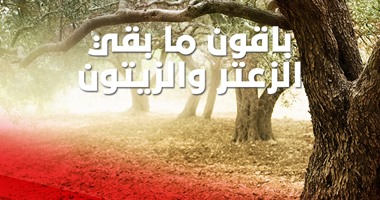 تحديد 30 يناير من كل عام يوم عالمى لفلسطينيو الخط الأخضر