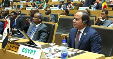 السيسى يشيد بجهود رئيس نيجيريا فى مكافحة الأنشطة الإهابية لـ"بوكوحرام"