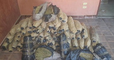 ضبط عاطلين بحوزتهما 50 كيلو بانجو بدمياط