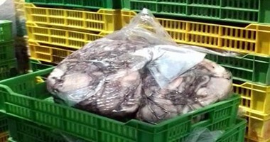 ضبط 2.5 طن أسماك فاسد خلال حملة تموينية بشبرا الخيمة