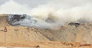 اكتشاف نوع زهور يزيل السموم العالقة بالهواء 