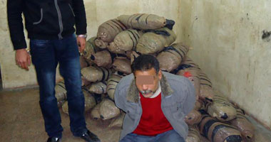 ضبط عاطل بحوزته 250 كيلو بانجو فى الإسماعيلية