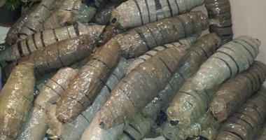 ضبط عاطلين بحوزتهما 20 كيلو بانجو بطنطا