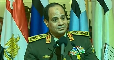 المصريين بالخارج يدشنون موقع إلكترونيا وصفحة على الفيس لتأييد السيسى