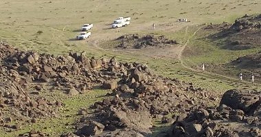 بالصور.. حلايب ترتدى الأخضر بعد سقوط المطر.. آخر بقعة على الحدود المصرية مع السودان تغادر "أيام الجفاف" وتزدهر ثمارًا وأشجارًا تسر الناظرين
