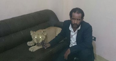 على طريقة "نخنوخ".. "أسد" فى شقة تاجر مخدرات هارب من مؤبد