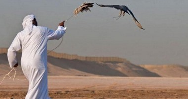 إطلاق سراح 9 من القطريين المختطفين فى العراق