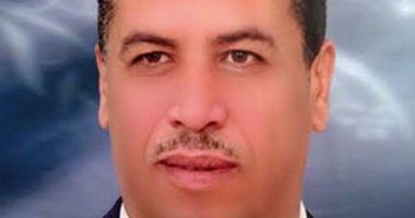 نائب برلمانى ينفى عرقلته إقامة كوبرى على الطريق الصحراوى