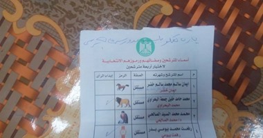 بالصور.. ناخب يدون على بطاقة تصويت بالشرقية "يارب تعملوا بيبى على الكرسى"